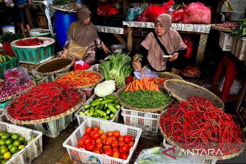 Harga Cabai Meroket Telur Ikut Naik Analisis Harga Pangan Di Awal Ramadan